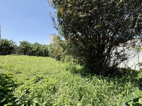 Piracicaba Vila Monteiro Terreno Venda R$500.000,00  Area do terreno 486.13m2 