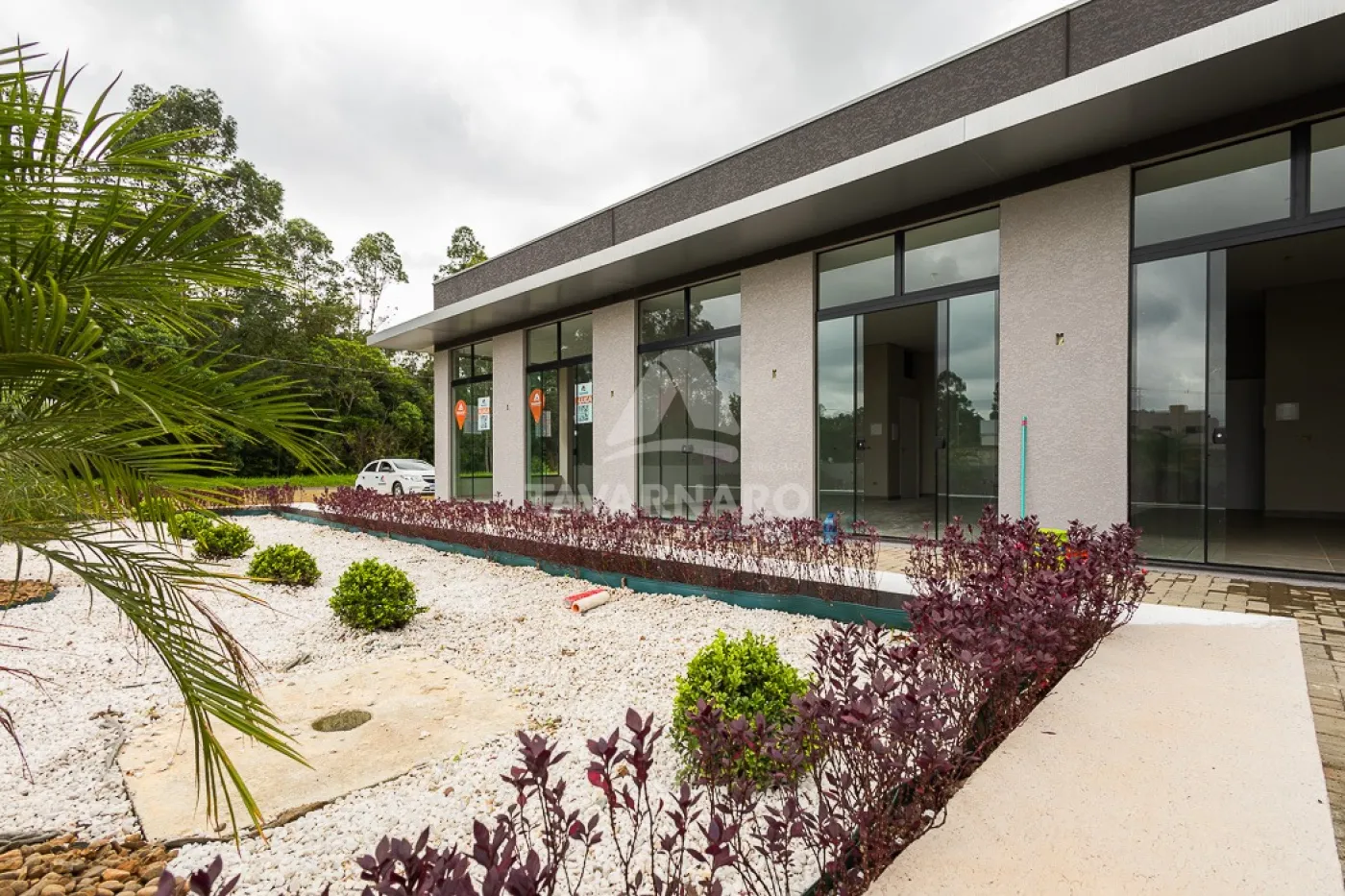 Alugar Comercial / Loja em Ponta Grossa R$ 599,99 - Foto 11