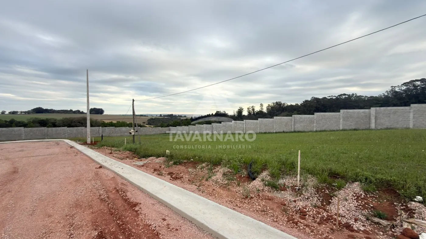 Terreno, 301 m² - Foto 3