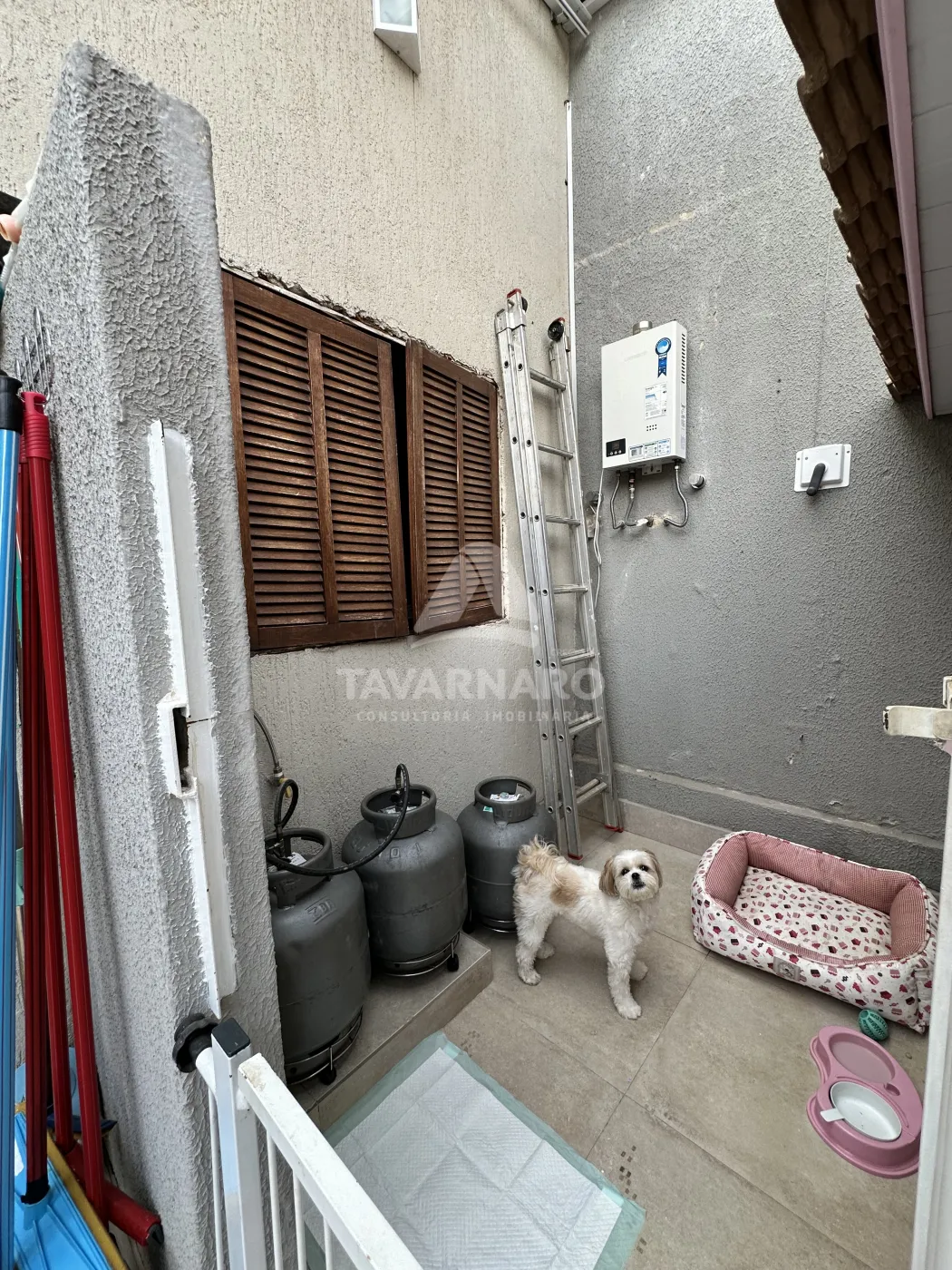 Casa, 3 quartos, 224 m² - Foto 86