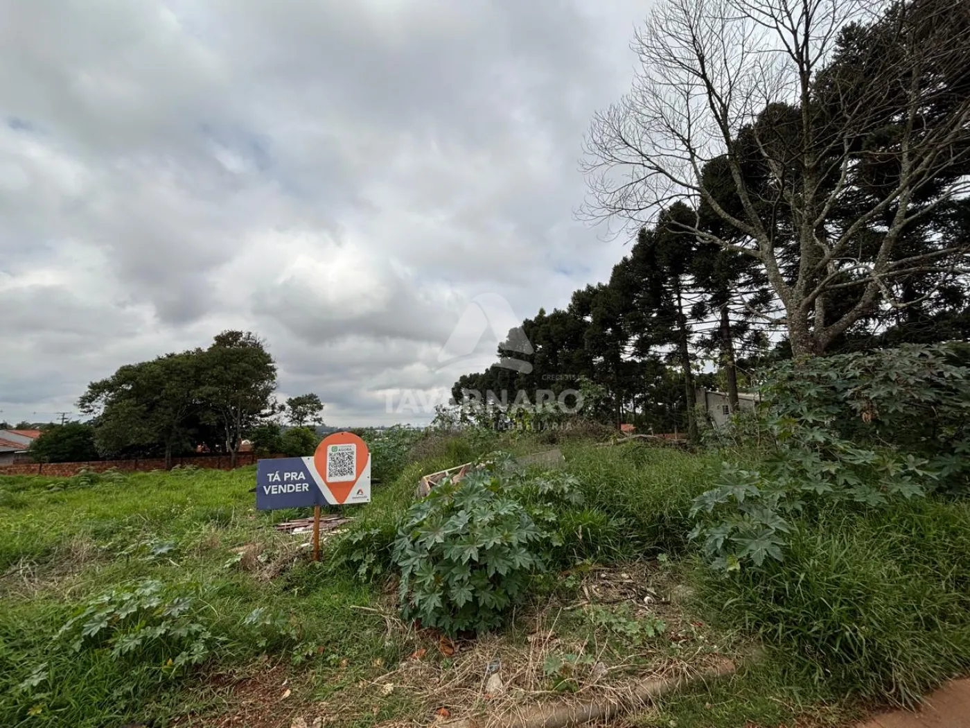Terreno, 2520 m² - Foto 2