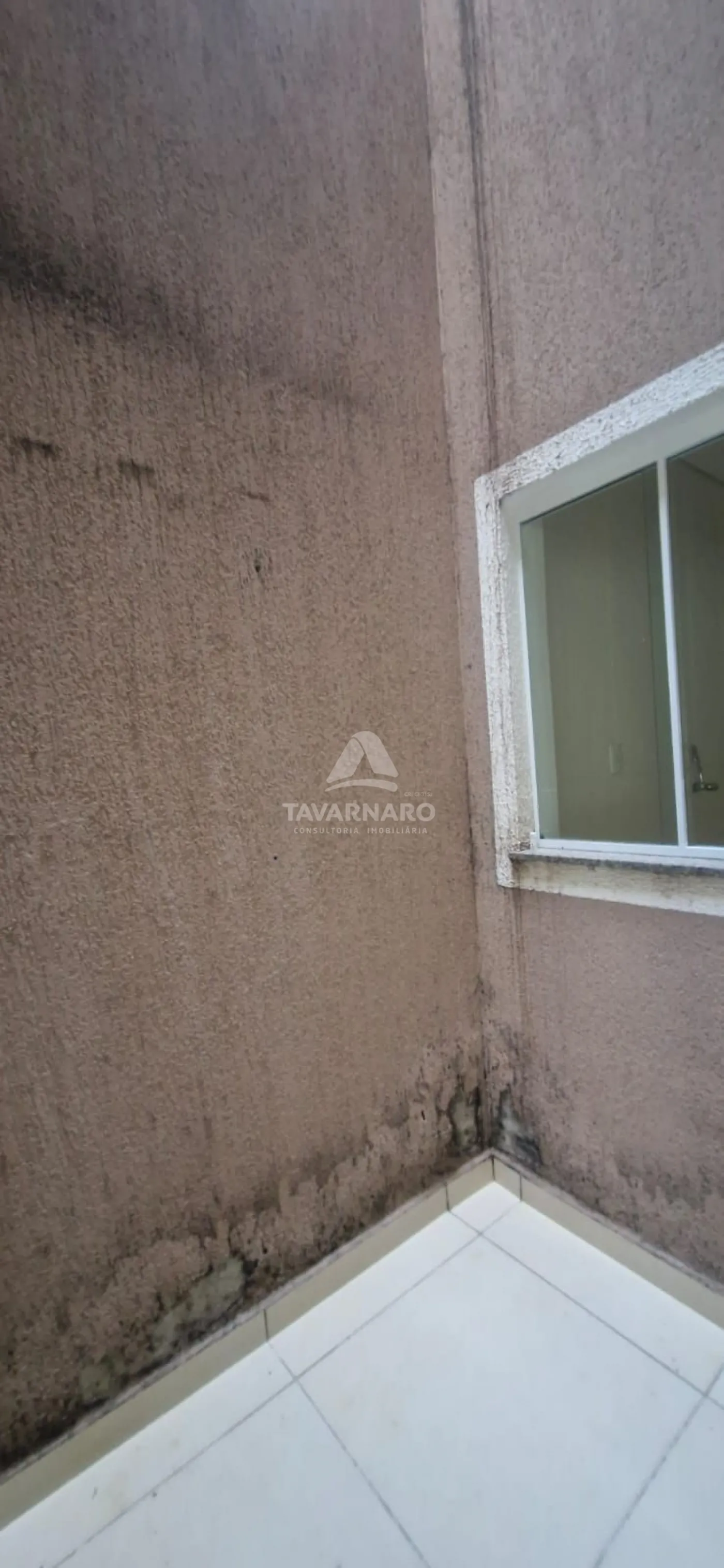 Alugar Comercial / Loja em Ponta Grossa R$ 5.000,00 - Foto 10