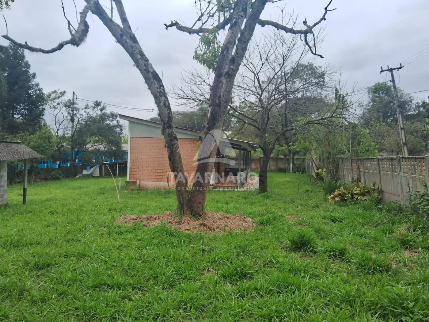 Terreno, 2549 m² - Foto 6