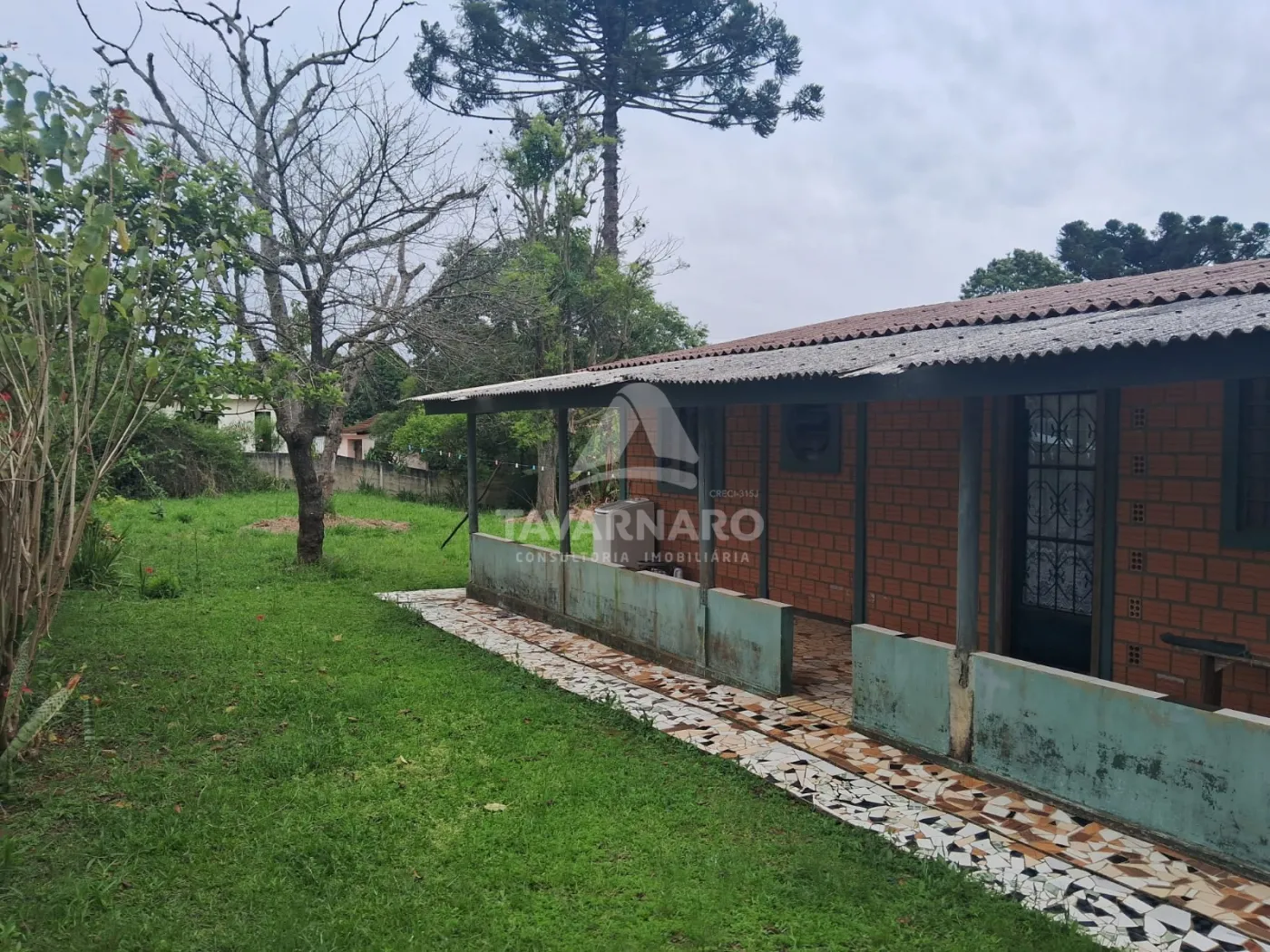 Terreno, 2549 m² - Foto 7