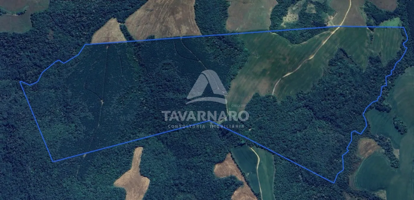 Terreno, 365 hectares - Foto 2