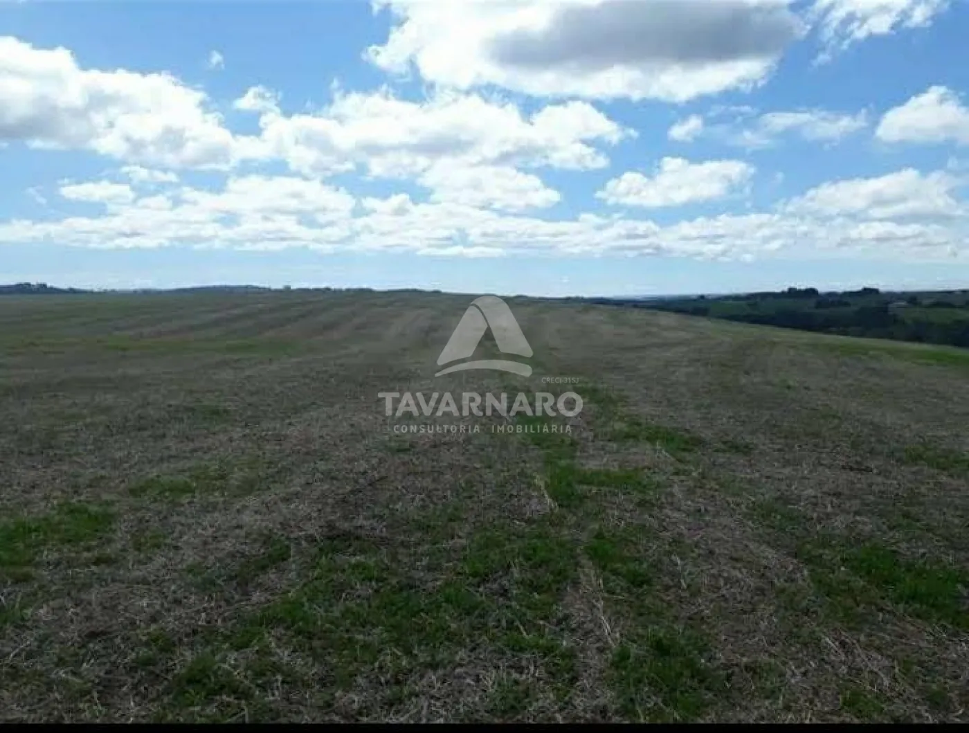 Terreno, 365 hectares - Foto 1