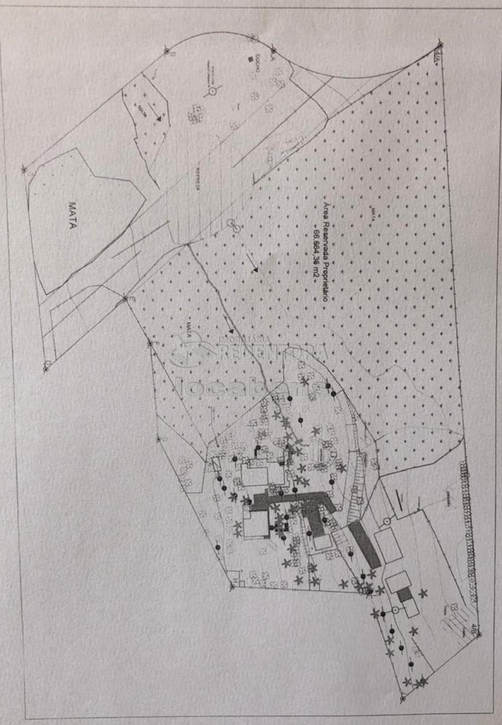 Sítio, 7 hectares - Foto 63