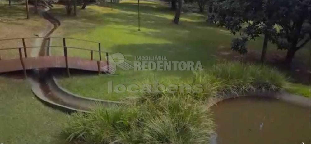 Sítio, 7 hectares - Foto 5