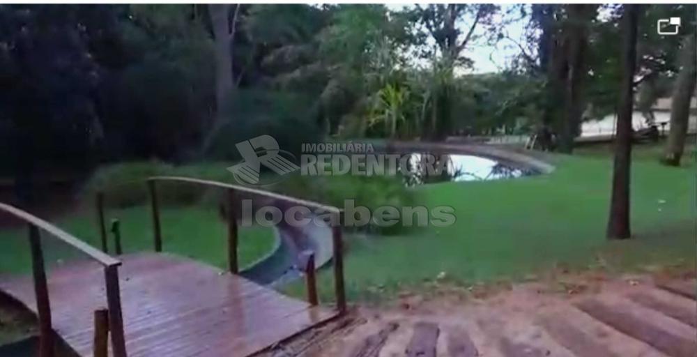 Sítio, 7 hectares - Foto 7