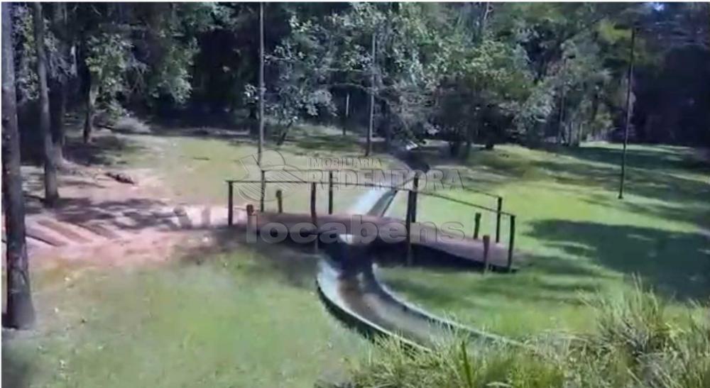 Sítio, 7 hectares - Foto 8