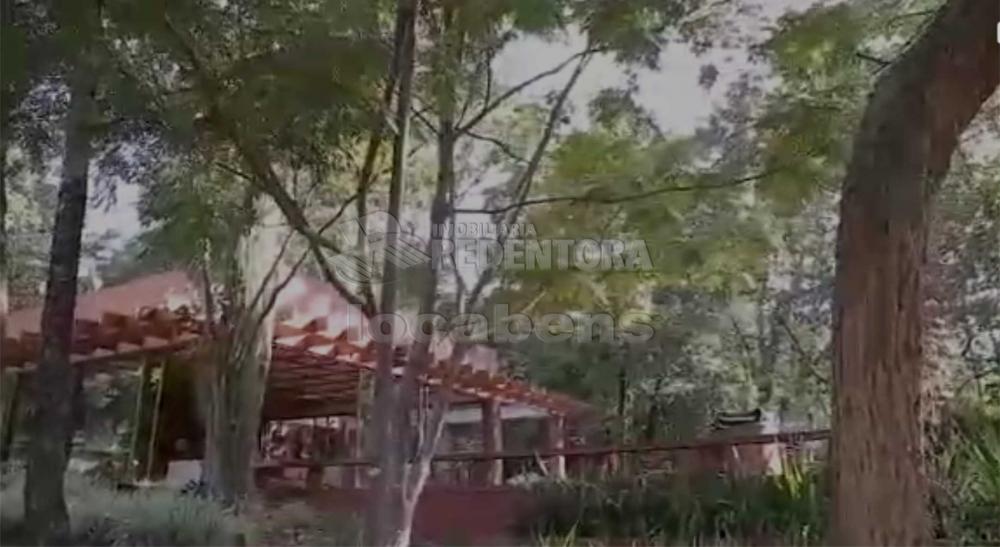 Sítio, 7 hectares - Foto 10