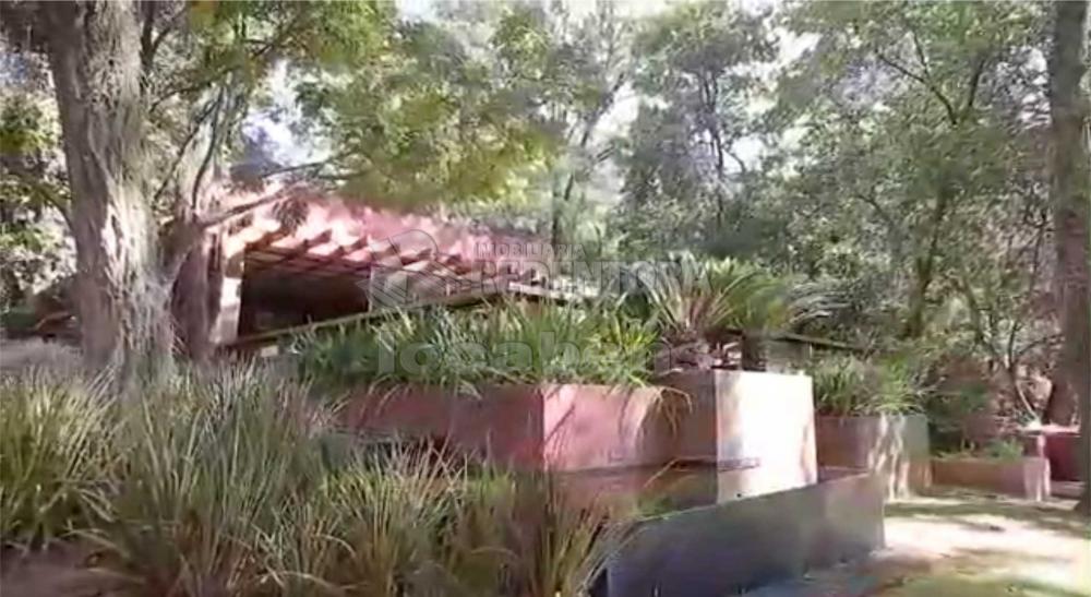 Sítio, 7 hectares - Foto 11