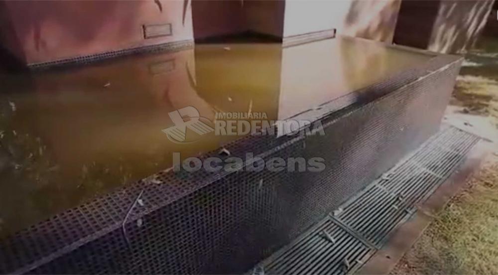 Sítio, 7 hectares - Foto 12