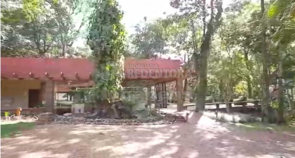 Sítio, 7 hectares - Foto 13