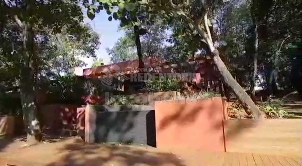 Sítio, 7 hectares - Foto 14