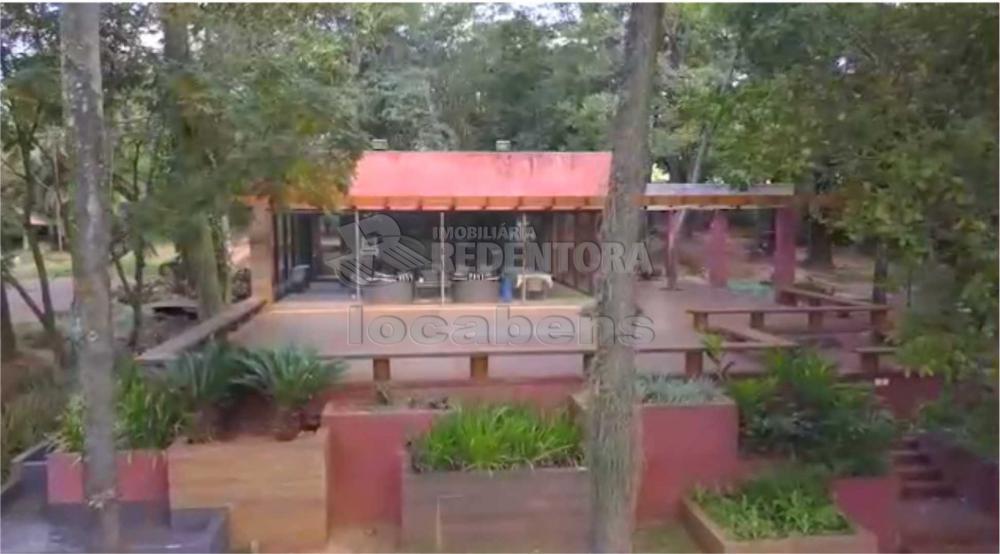 Sítio, 7 hectares - Foto 15