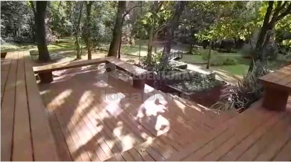 Sítio, 7 hectares - Foto 16