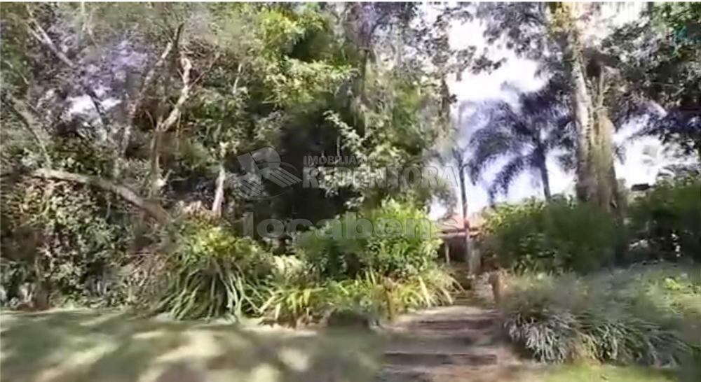 Sítio, 7 hectares - Foto 41