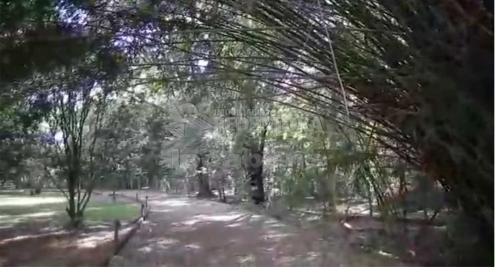 Sítio, 7 hectares - Foto 57