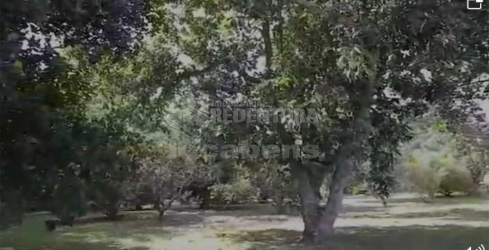 Sítio, 7 hectares - Foto 59