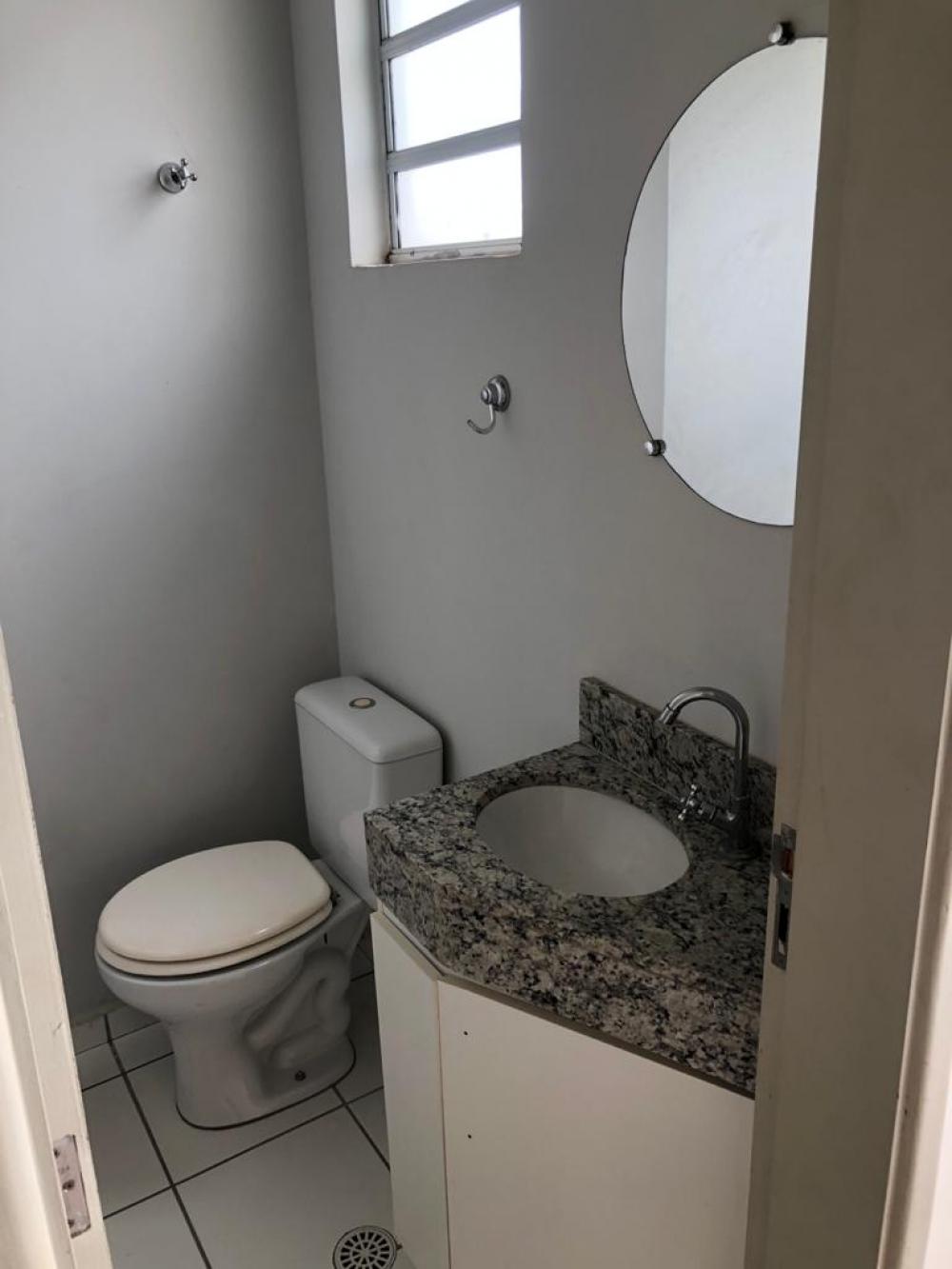 Alugar Apartamento / Cobertura em S&atilde;o Jos&eacute; do Rio Preto R$ 1.500,00 - Foto 17