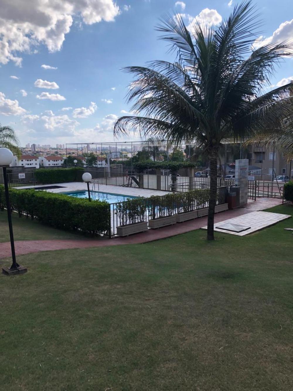 Alugar Apartamento / Cobertura em S&atilde;o Jos&eacute; do Rio Preto R$ 1.500,00 - Foto 20