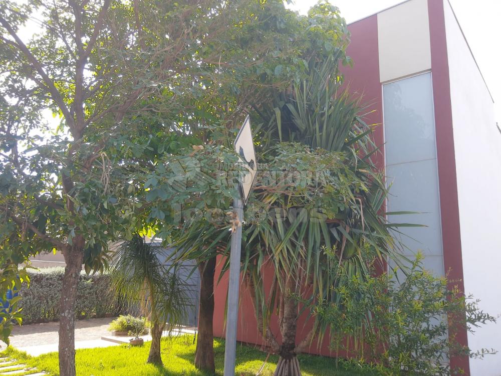 Comprar Casa / Condom&iacute;nio em S&atilde;o Jos&eacute; do Rio Preto R$ 2.200.000,00 - Foto 3
