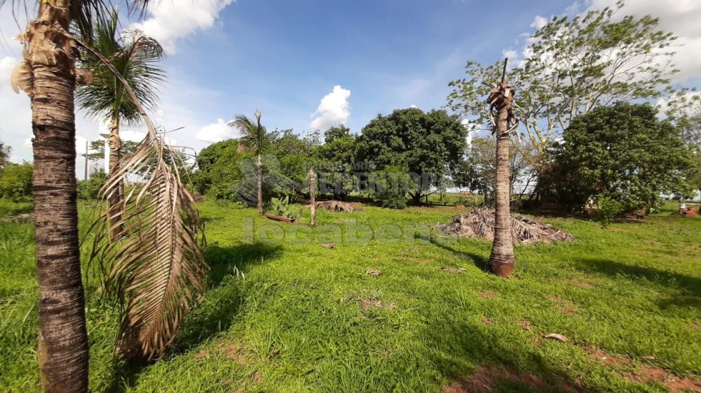 Sítio, 13 hectares - Foto 1