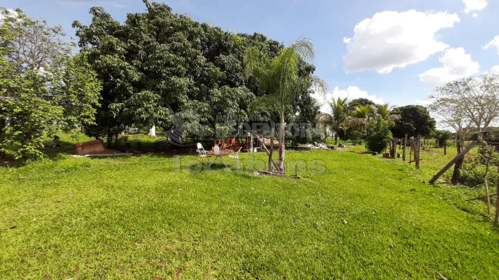 Sítio, 13 hectares - Foto 4