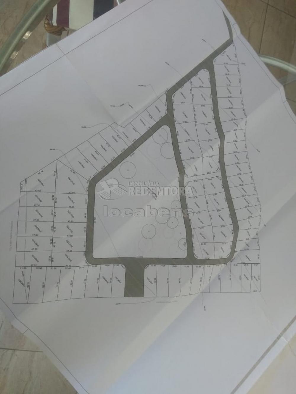 Sítio, 13 hectares - Foto 5