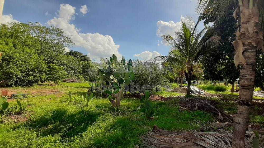 Sítio, 13 hectares - Foto 6