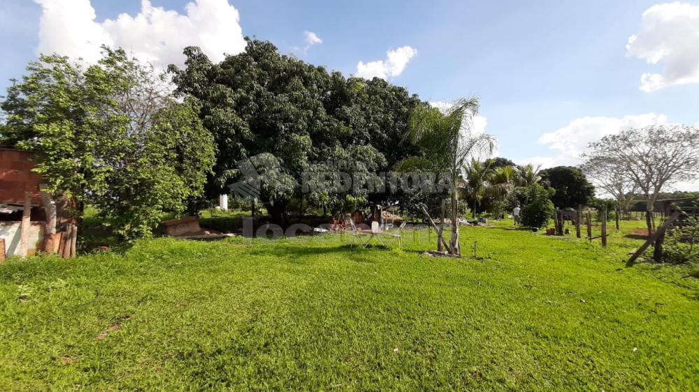 Sítio, 13 hectares - Foto 7