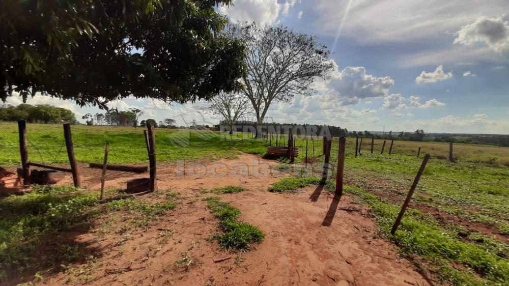 Sítio, 13 hectares - Foto 11