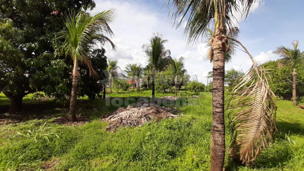 Sítio, 13 hectares - Foto 8