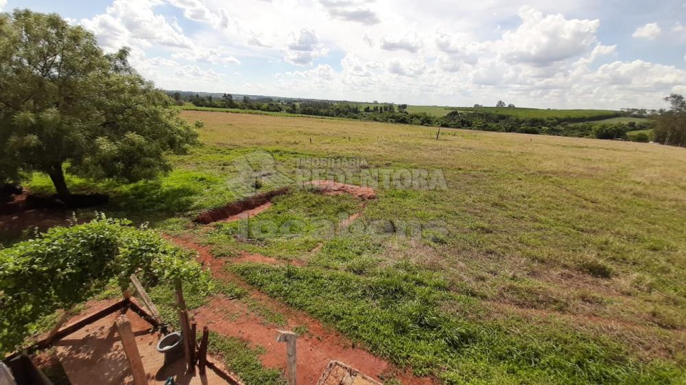 Sítio, 13 hectares - Foto 12