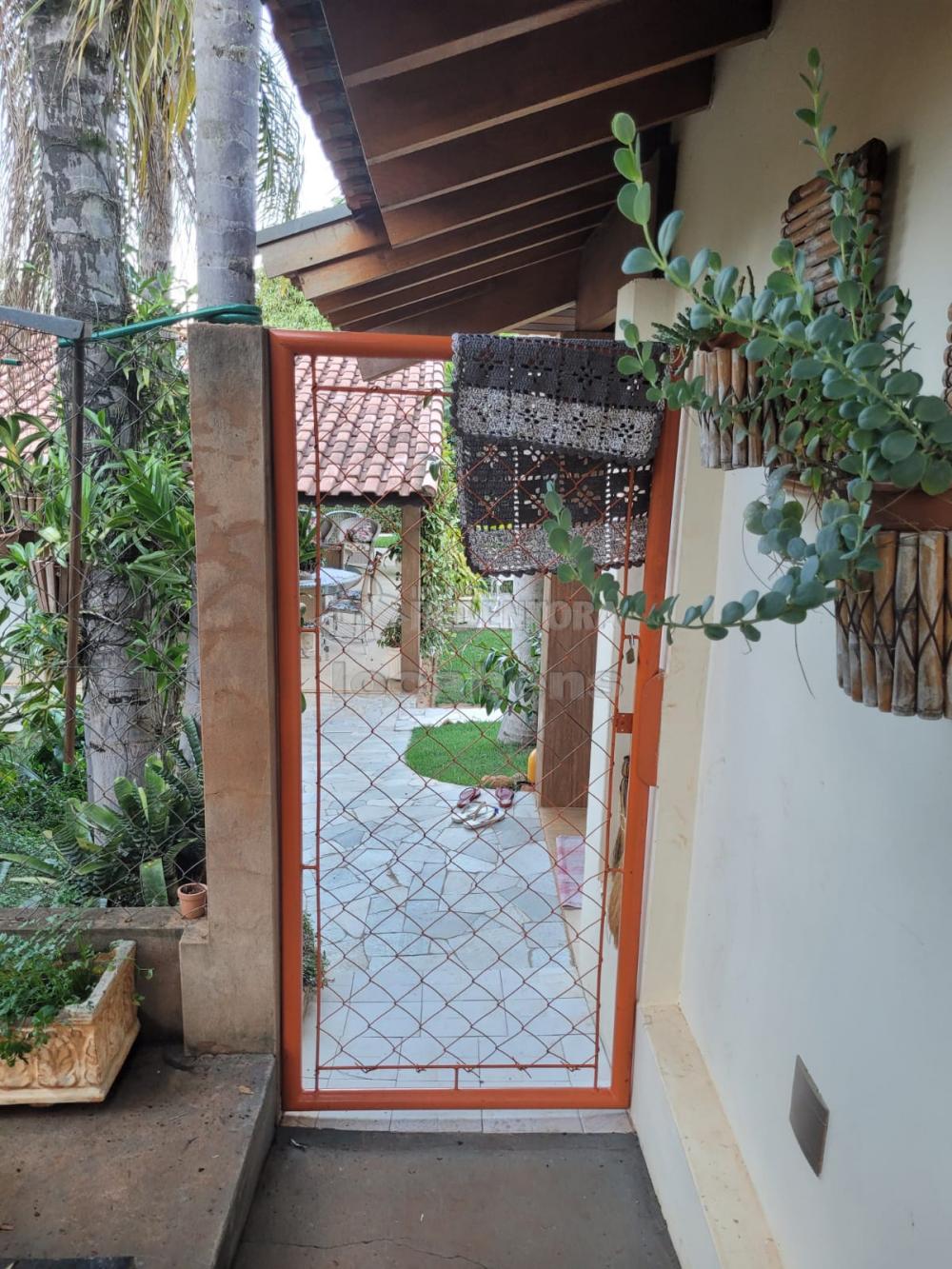 Chácara, 3 quartos, 5 hectares - Foto 2