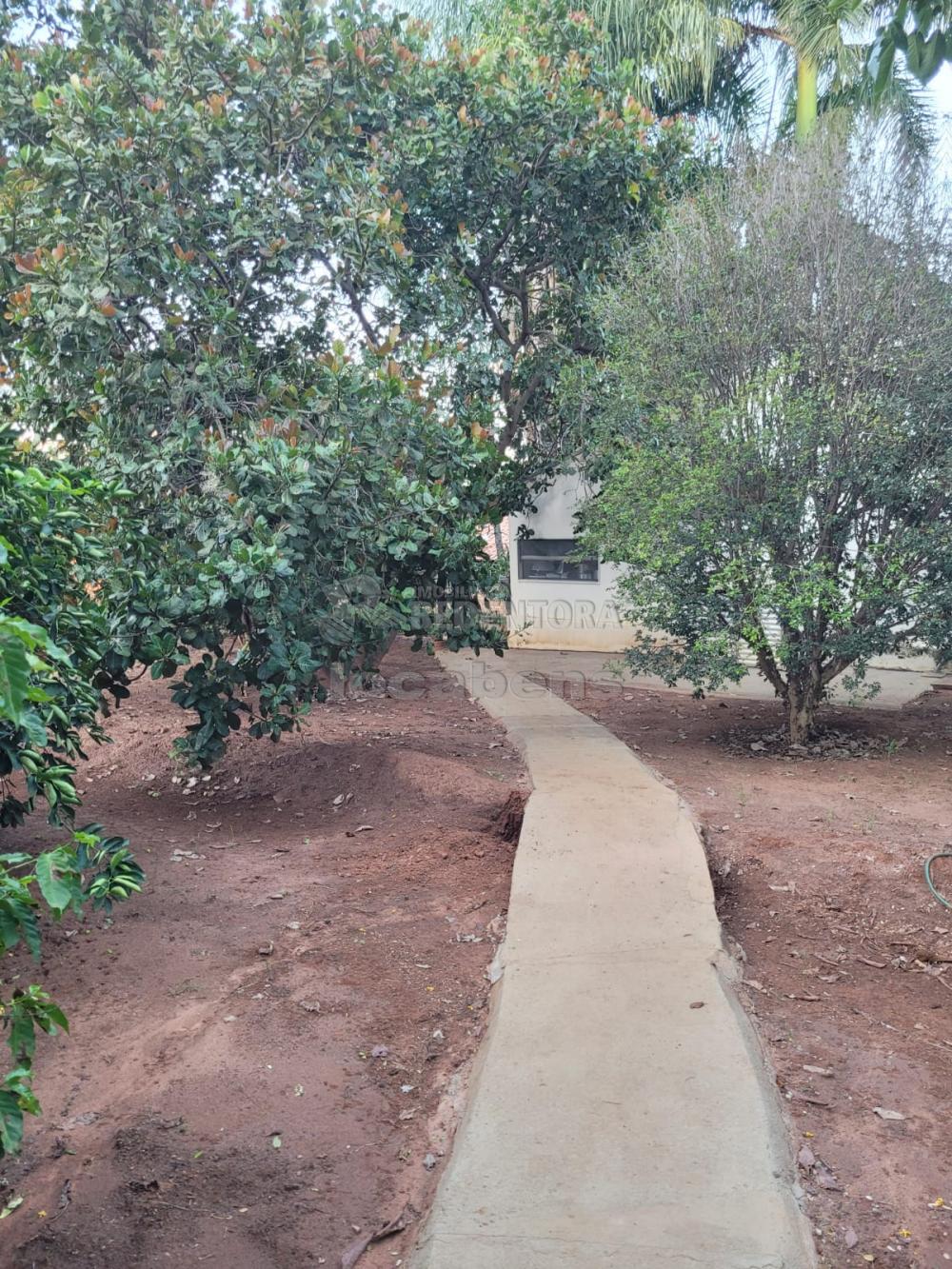 Chácara, 3 quartos, 5 hectares - Foto 4