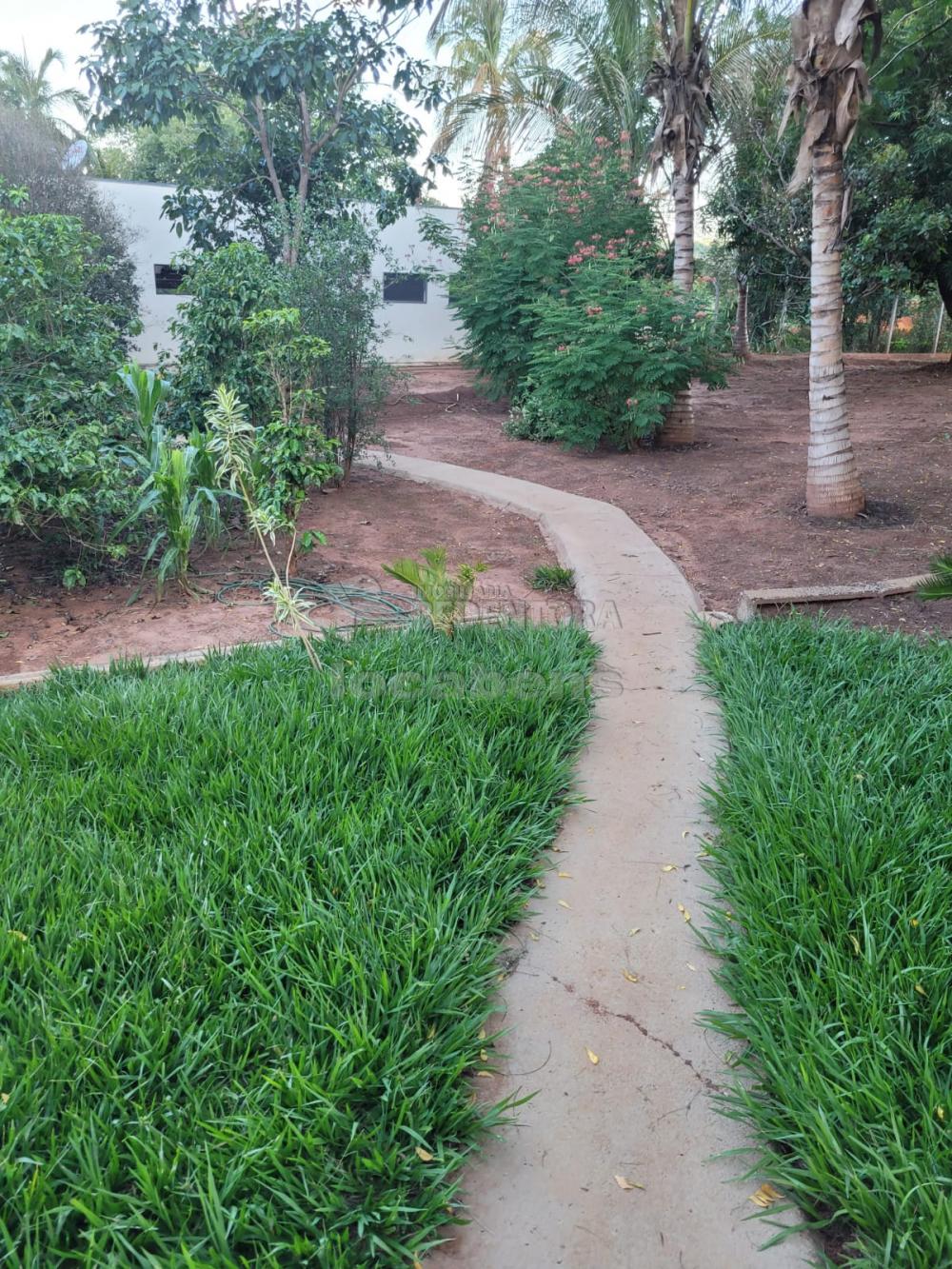 Chácara, 3 quartos, 5 hectares - Foto 6