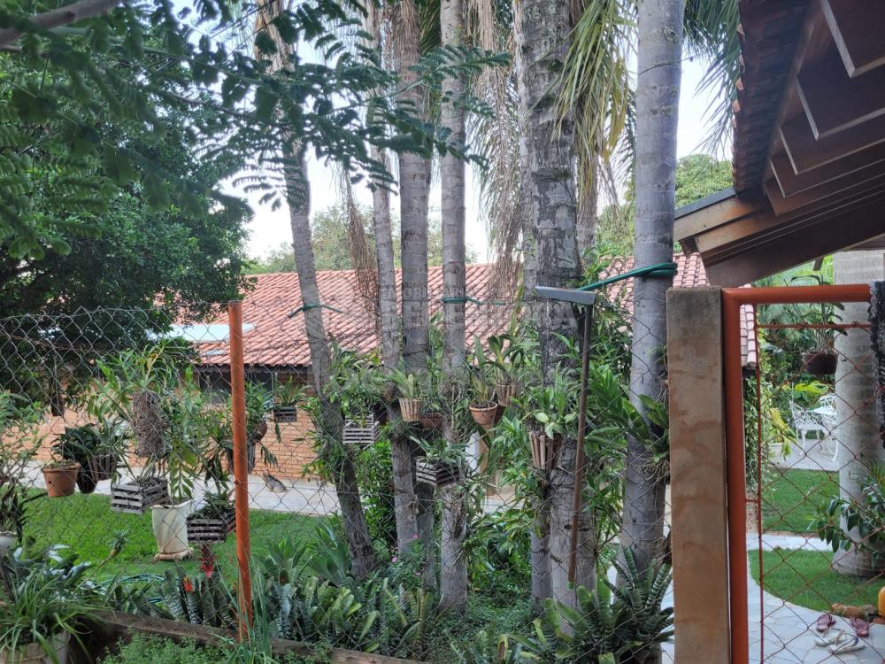 Chácara, 3 quartos, 5 hectares - Foto 9