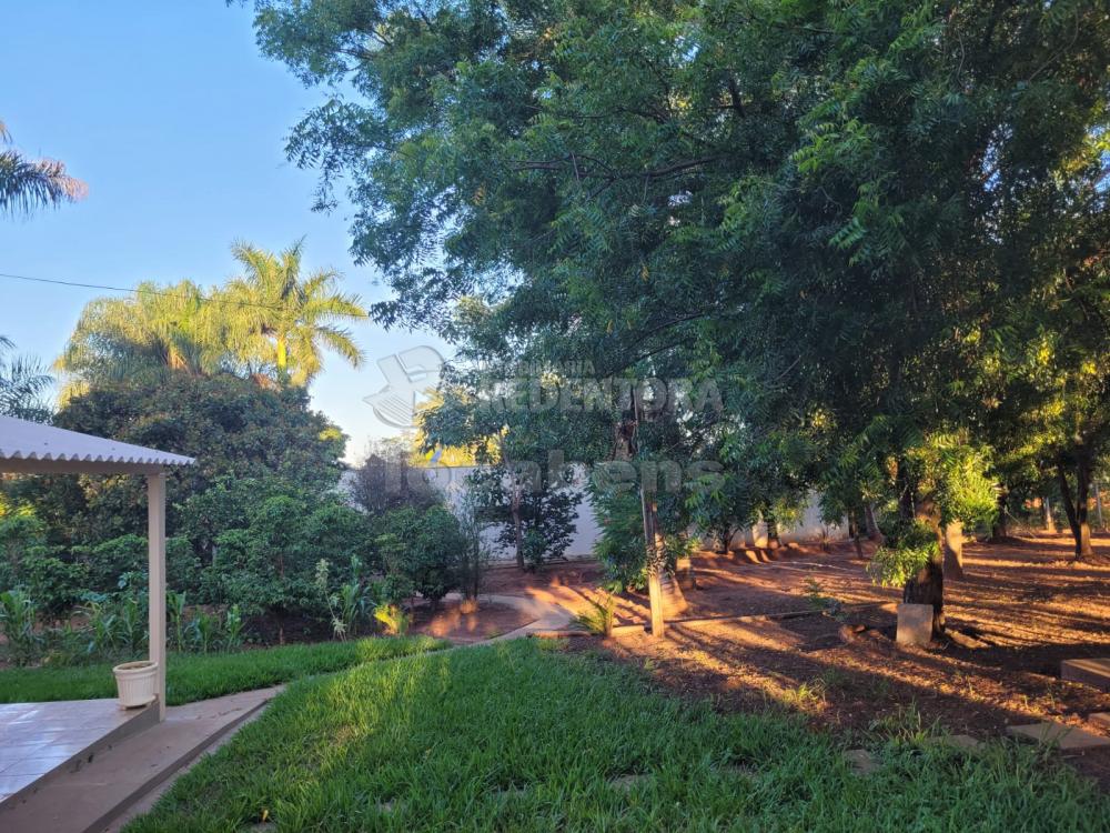 Chácara, 3 quartos, 5 hectares - Foto 10