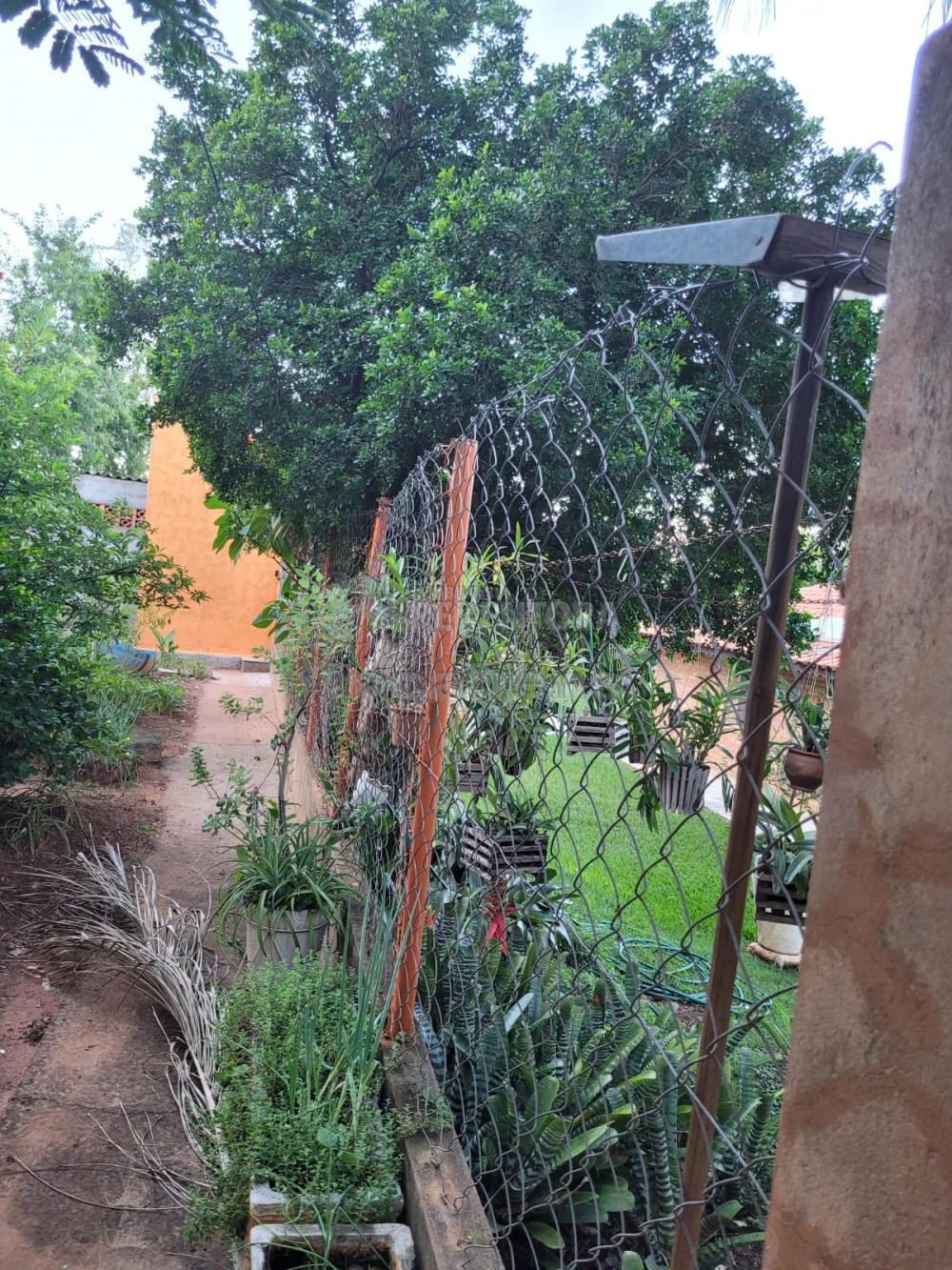 Chácara, 3 quartos, 5 hectares - Foto 11