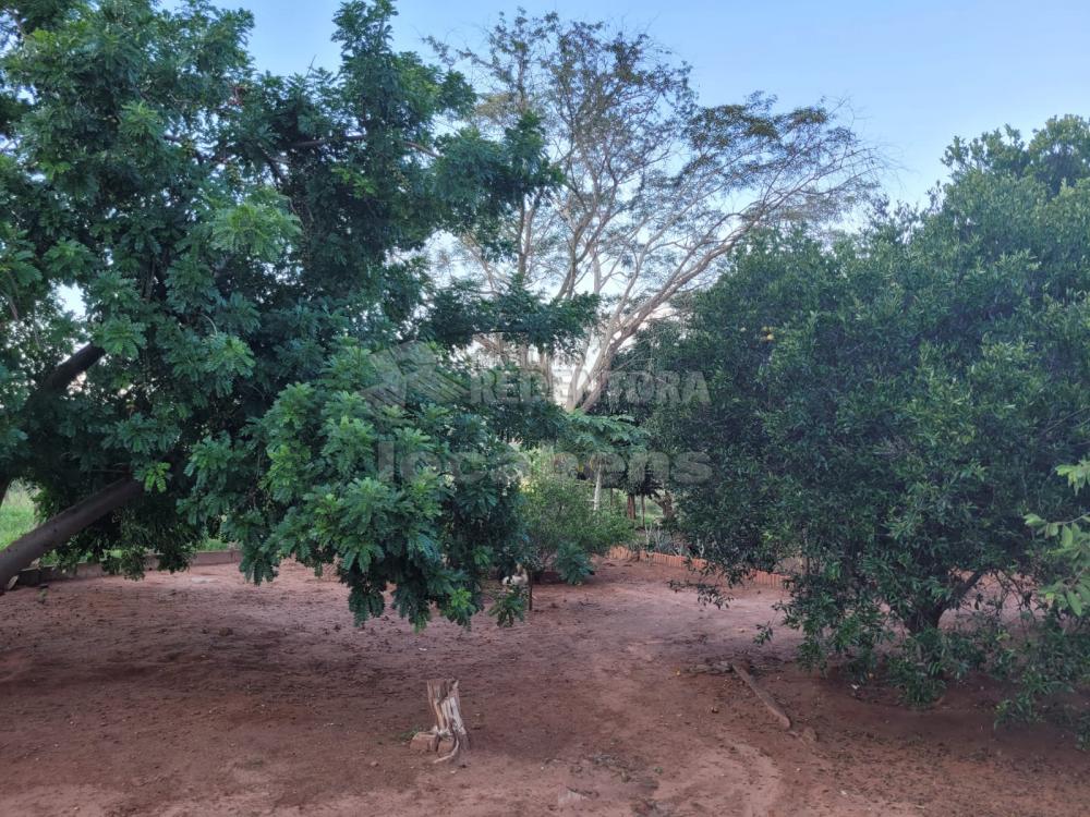 Chácara, 3 quartos, 5 hectares - Foto 37