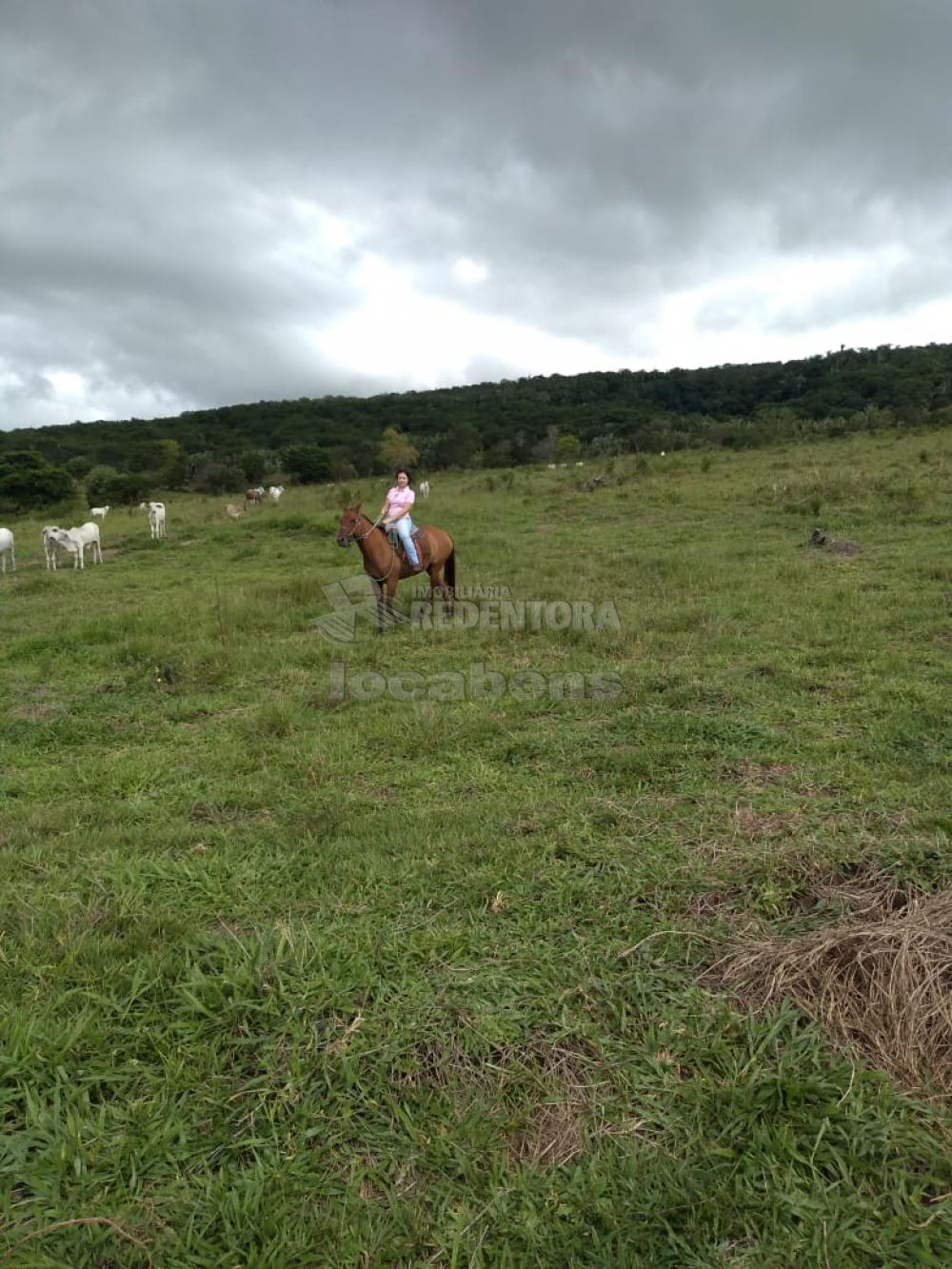 Fazenda, 515 hectares - Foto 2