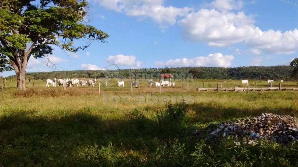 Fazenda, 515 hectares - Foto 4