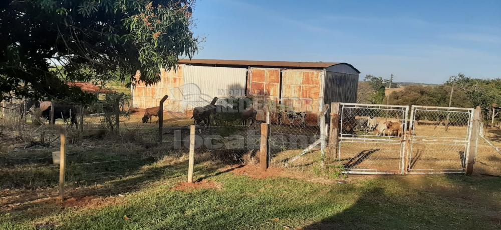 Sítio, 5 quartos, 6 hectares - Foto 6