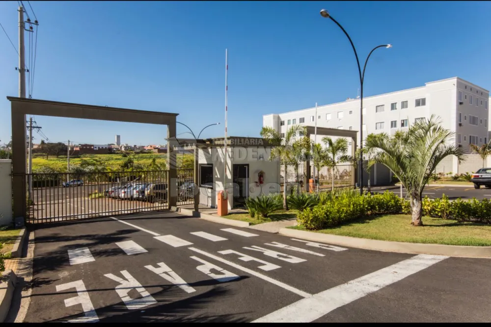 Alugar Apartamento / Padr&atilde;o em S&atilde;o Jos&eacute; do Rio Preto R$ 800,00 - Foto 13