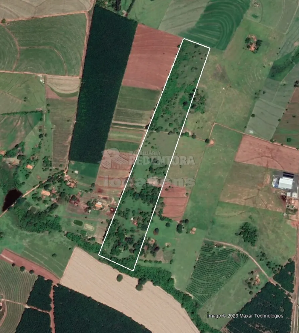 Sítio, 20 hectares - Foto 2