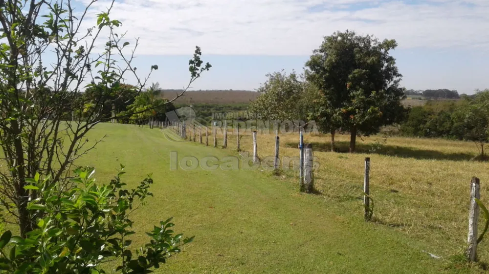 Fazenda, 57 hectares - Foto 3