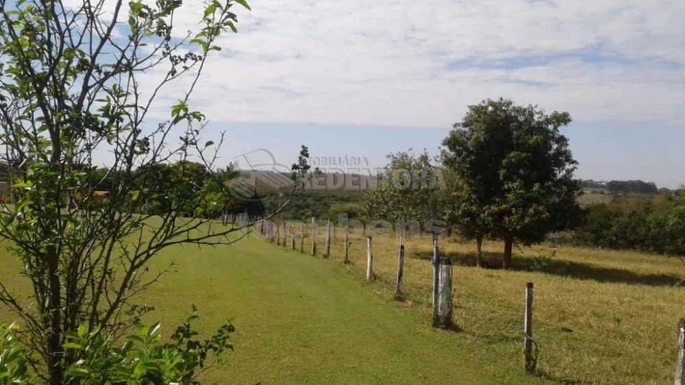 Fazenda, 57 hectares - Foto 4