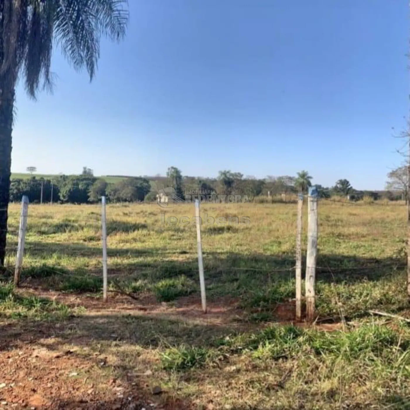 Chácara, 3 hectares - Foto 4